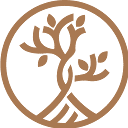 Better Life Clinic LLC | Aesthetic Clinic In Bur Dubai