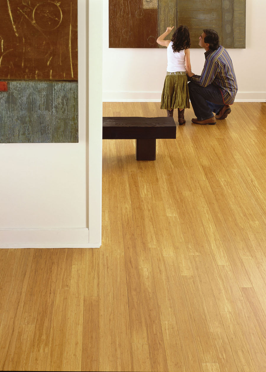 Teragren Synergy Wide Plank Strand Bamboo Flooring