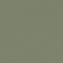 Forbo, Linoleum, Furniture, Olive - 4184, Sample, Small