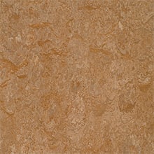 Forbo Marmoleum Modular, Shitake - T3233, 20 x 20