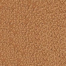 J Mish Carpet, Legends, Apricot, Sample, Small