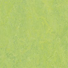 Forbo Marmoleum Modular, Refreshing Green - T3258, 10 x 10