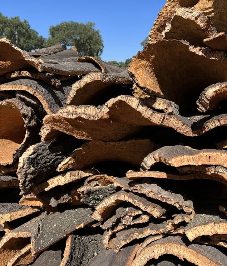 Piles of Raw Cork