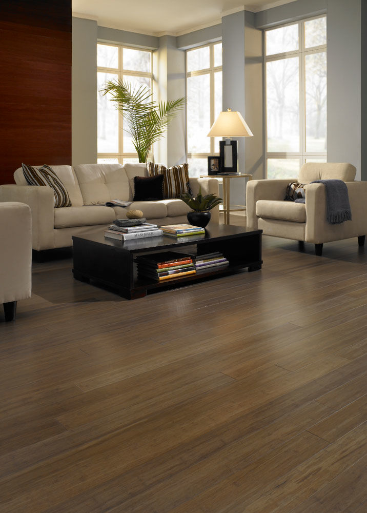 Usfloors Expressions Solid Lock Bamboo Flooring Refundable Samples