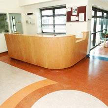 Find Your Perfect Floor By Browsing Each Of Our Marmoleum Lines Find Your Perfect Floor By Browsing Each Of Our Marmoleum Lines