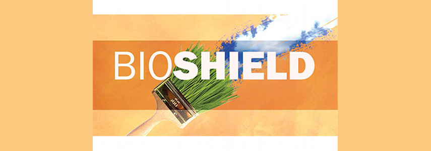 Bioshield Effective Natural Non Toxic Paints Stains Finishes