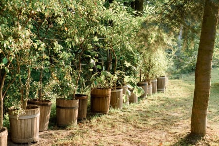 How to seal your wooden raised bed garden