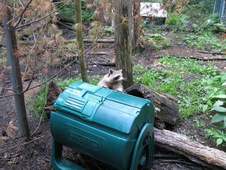 Basic Principles of Composting