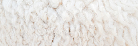 Carpet Texture and Why Wool is a Better Choice – Wilson & Dorset