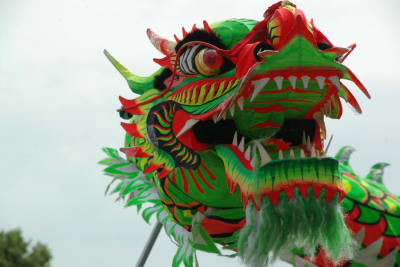 Random Green Dragon image