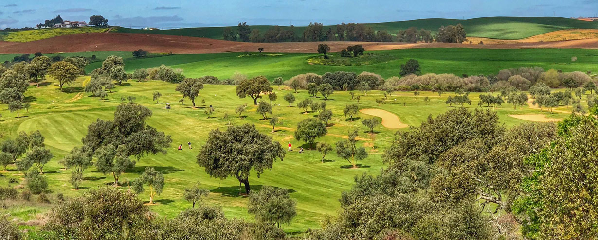 Spielen Sie Golf auf Don Tello Club de Golf de Mérida ...