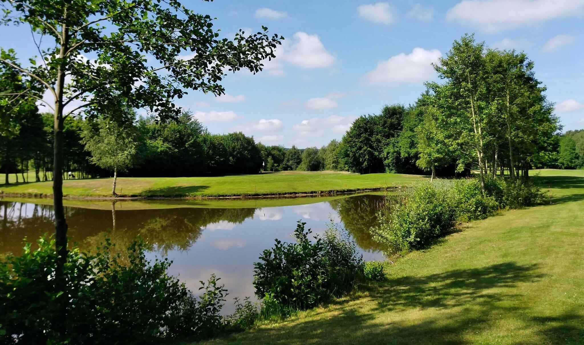 Play Golf On Golfclub Varus Countries germany Greenfee365 play-golf-on-golfclub-varus-countries-germany-greenfee365