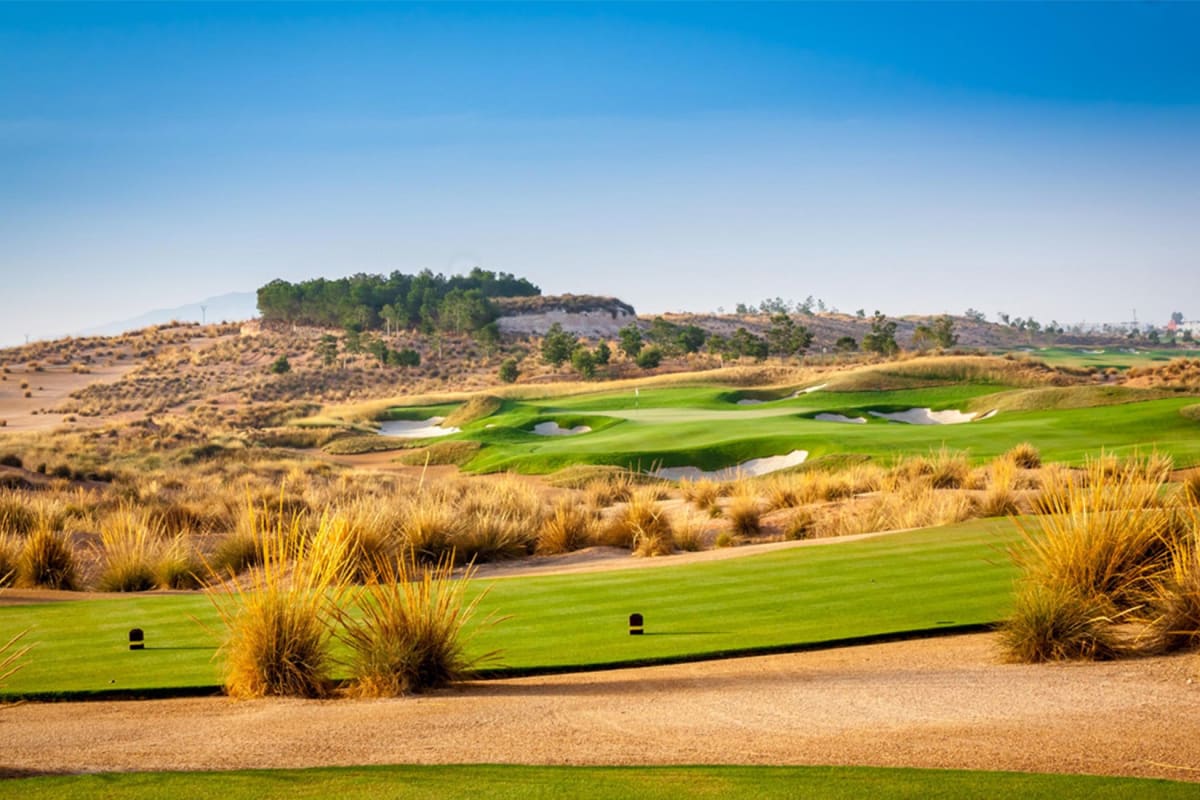 Alhama Signature Golf cover image