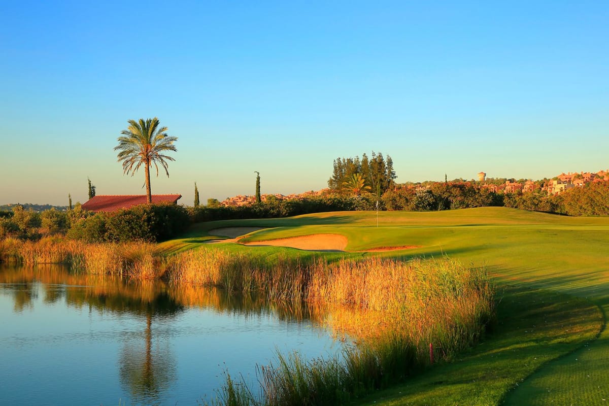 Amendoeira Academy Course cover image
