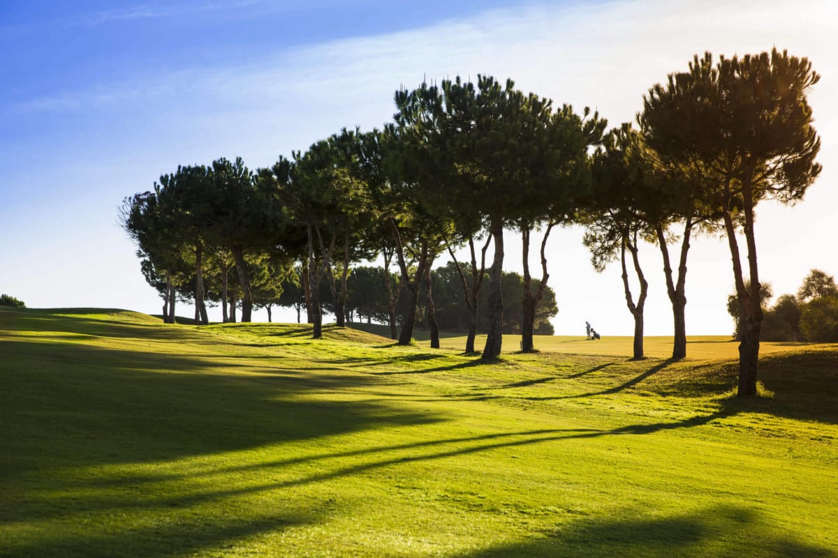 Anoreta Golf cover image