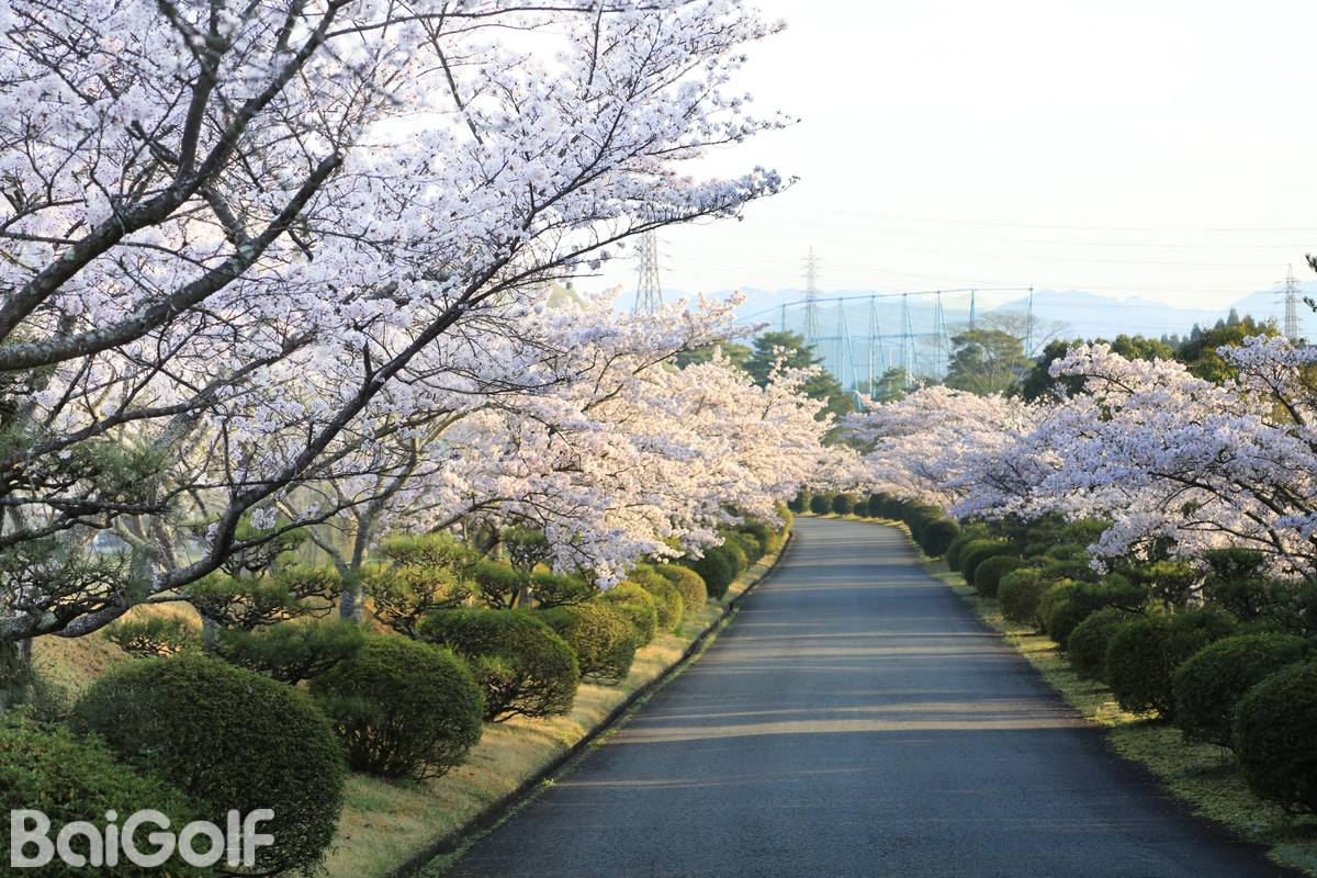Arima Country Club cover image