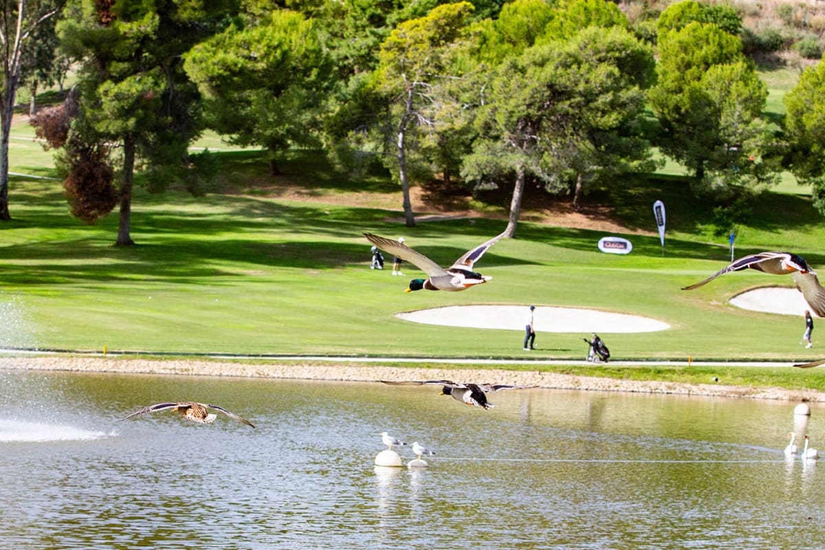 Atalaya Golf & Country Club - New Course cover image