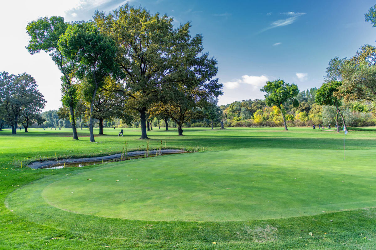 Beograd Golf Club cover image