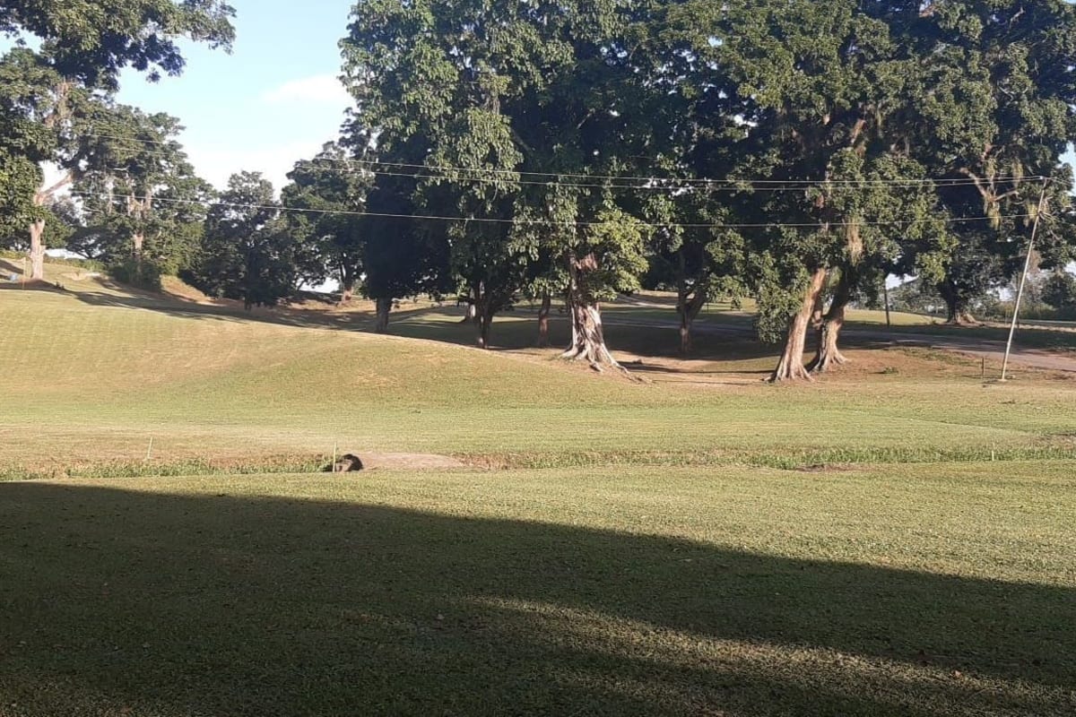Brechin Golf Club cover image