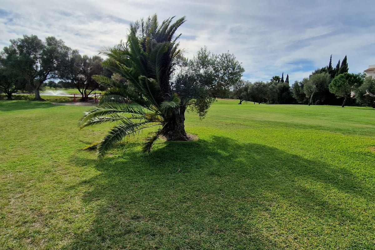 Campano Golf cover image