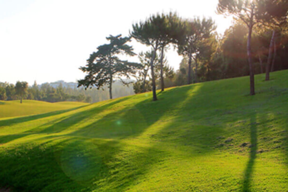 Chaparral Golf Club cover image