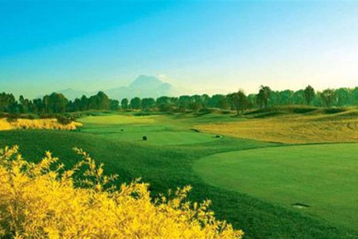 CITIC Ka Lizhe Championship field  cover image