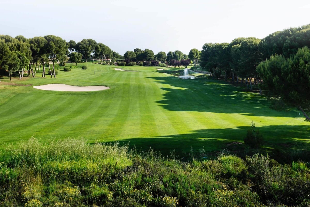Real Club de Golf La Peñaza cover image