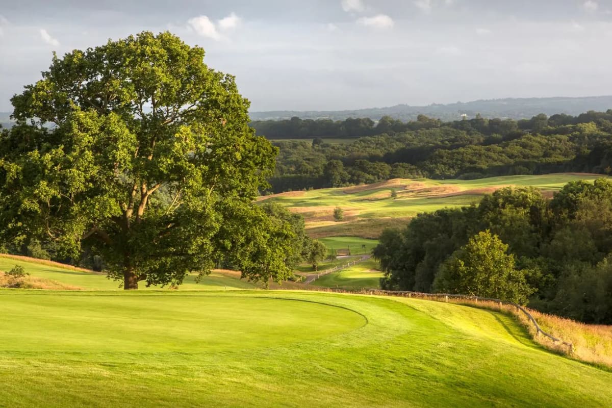 Dale Hill - The Dale Hill Course cover image