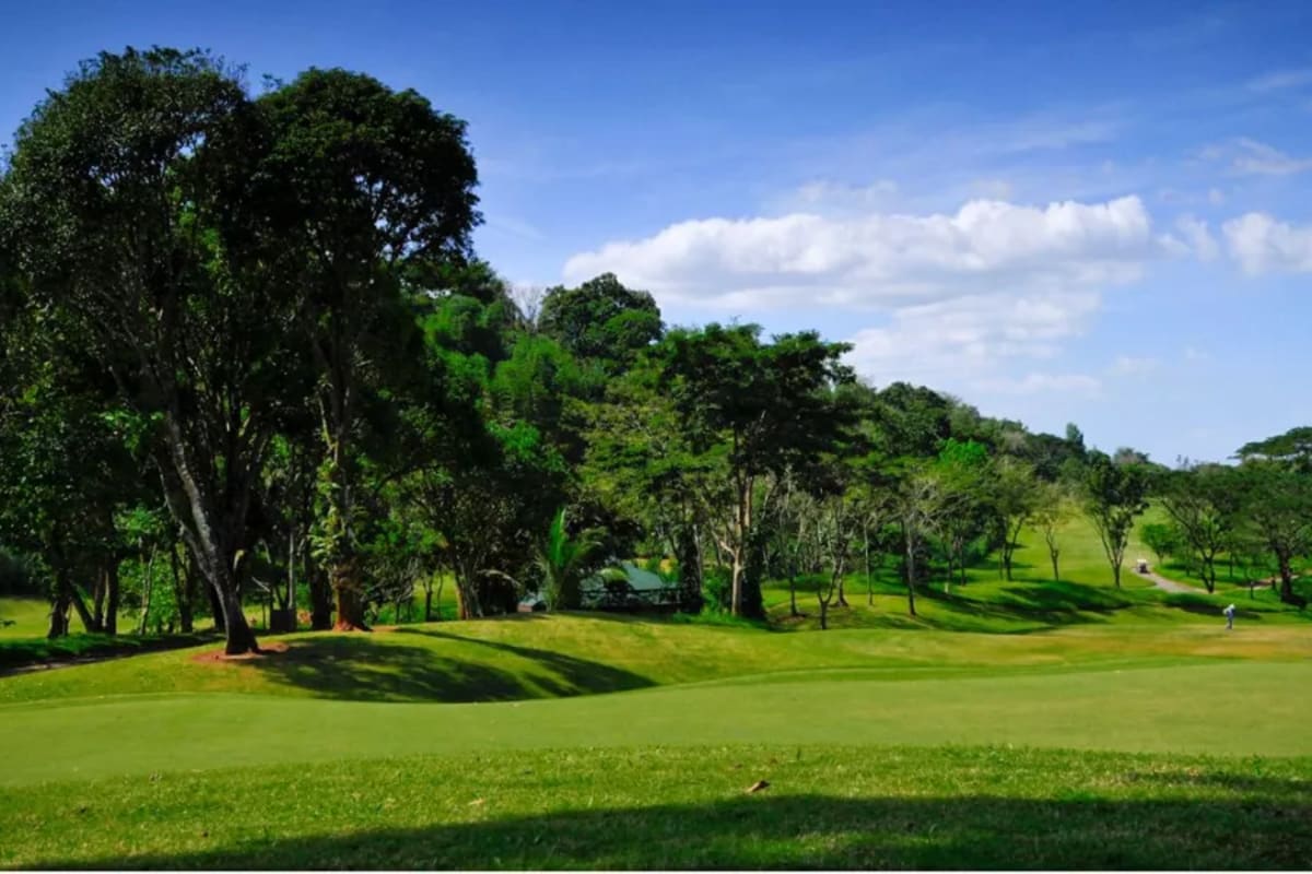 Forest Hills Golf and Country Club (Palmer Course) cover image