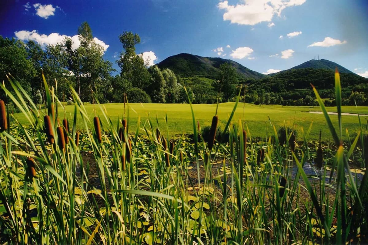 Golf Club Frassanelle cover image