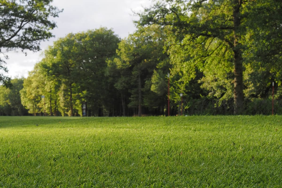 Golf de Clairis cover image