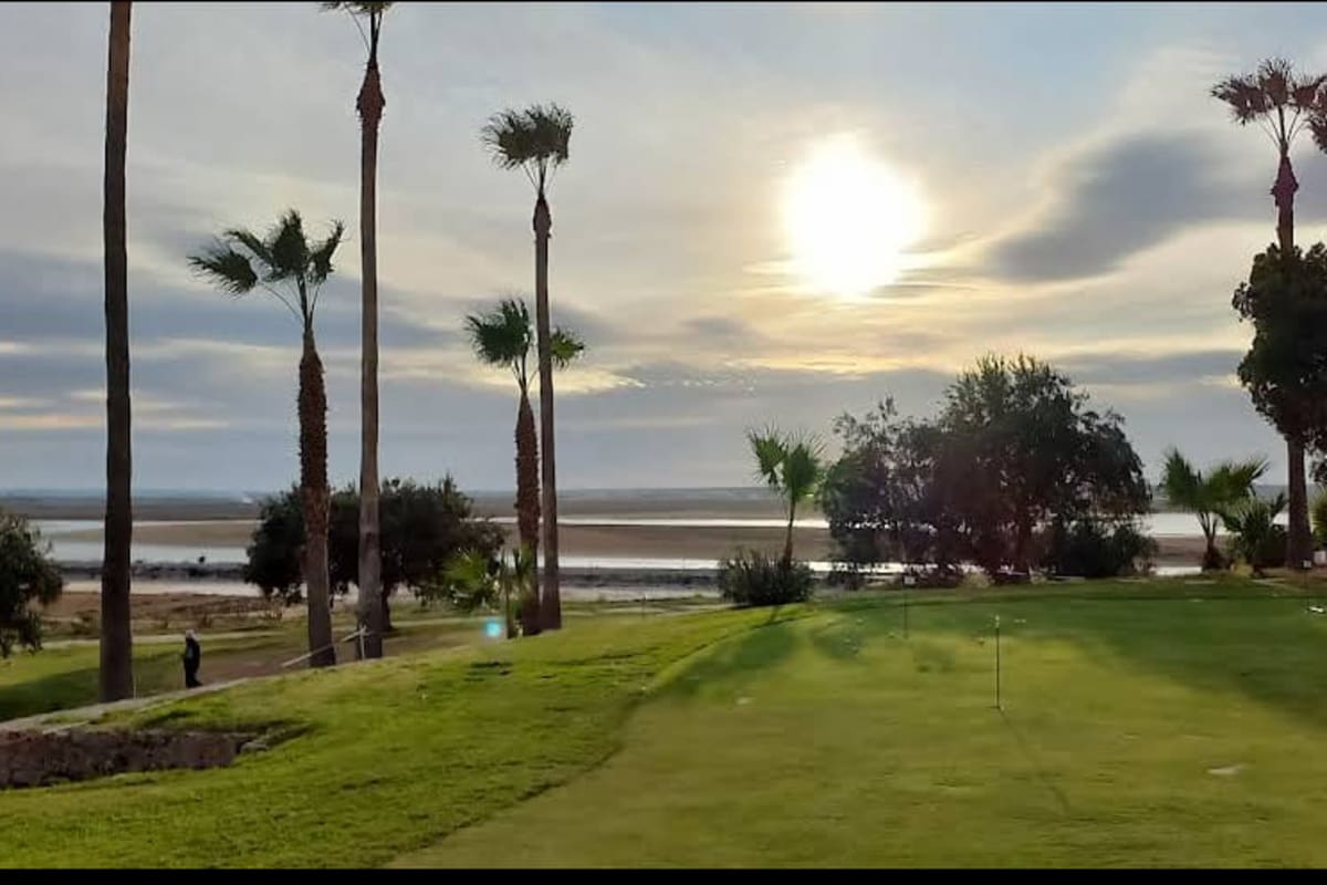 Golf Flamingo Monastir cover image