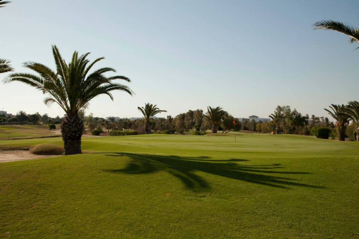 Golf Palm Links Monastir cover image