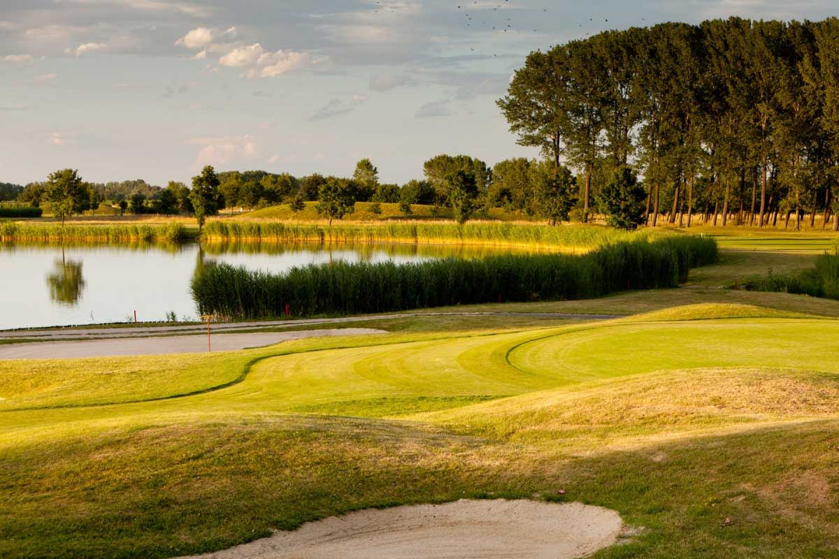 Greenfield Hotel Golf & Spa (Birdland) cover image