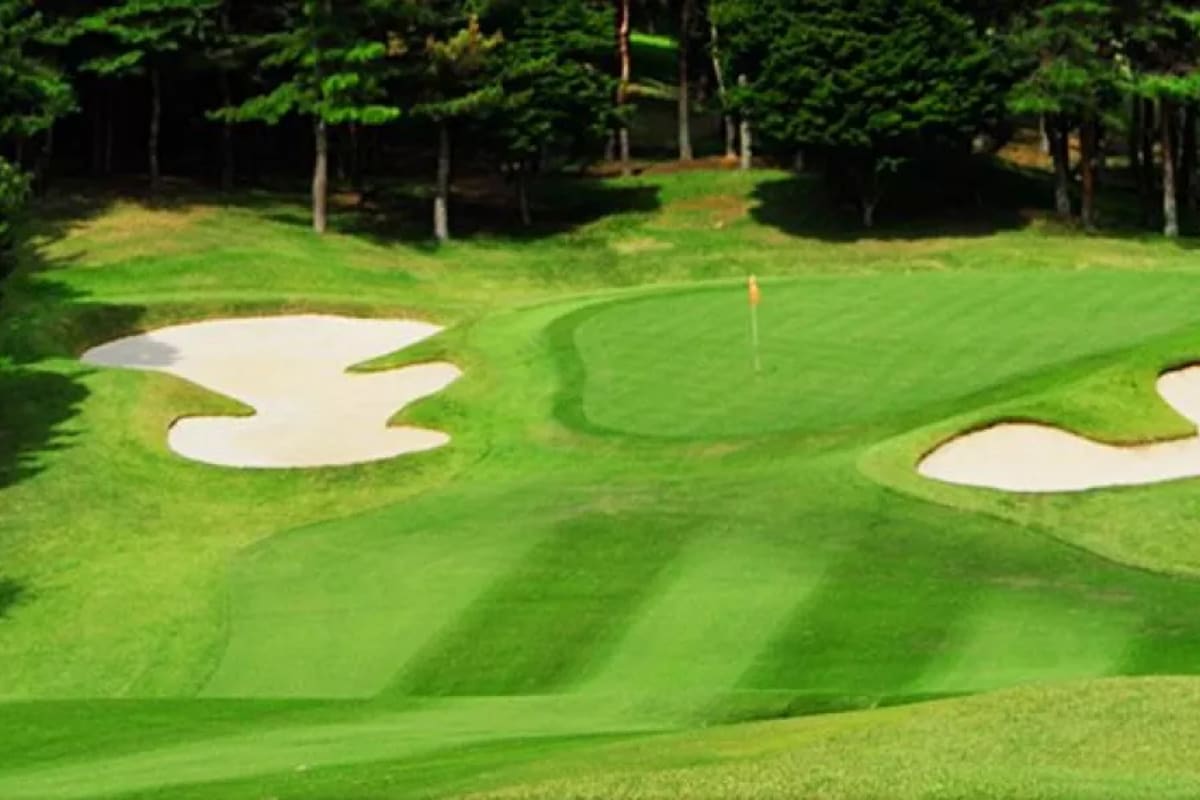 Higashi-Tsukuba Country Club (South+North) cover image