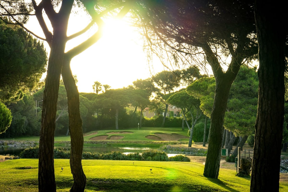 Hotel Quinta da Marinha Resort cover image