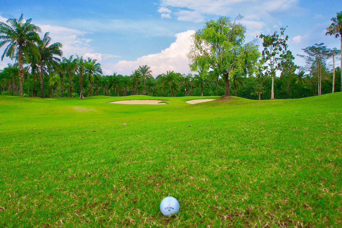 Hula Hula Golf Club cover image
