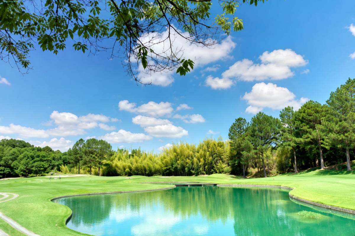 Minagi Golf Club cover image