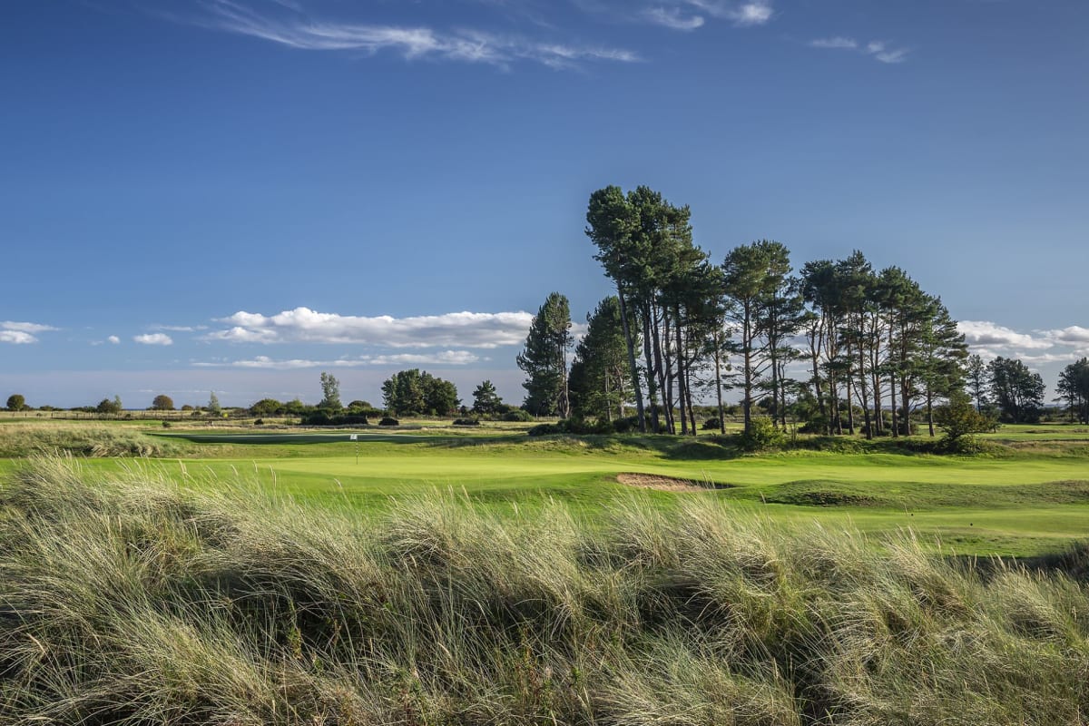 Monifieth Golf Links - Ashludie cover image