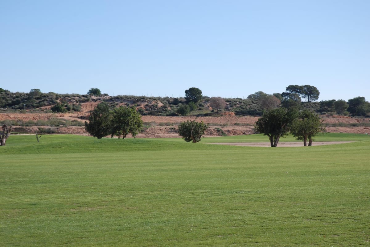 New Sierra Golf cover image