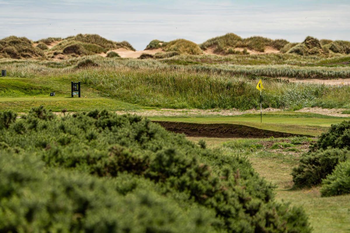 Newburgh-On-Ythan Golf Club cover image