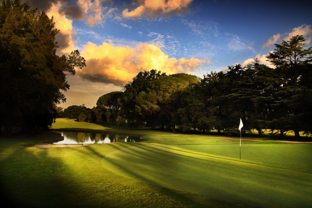 Olivos Golf Club - Blanca cover image