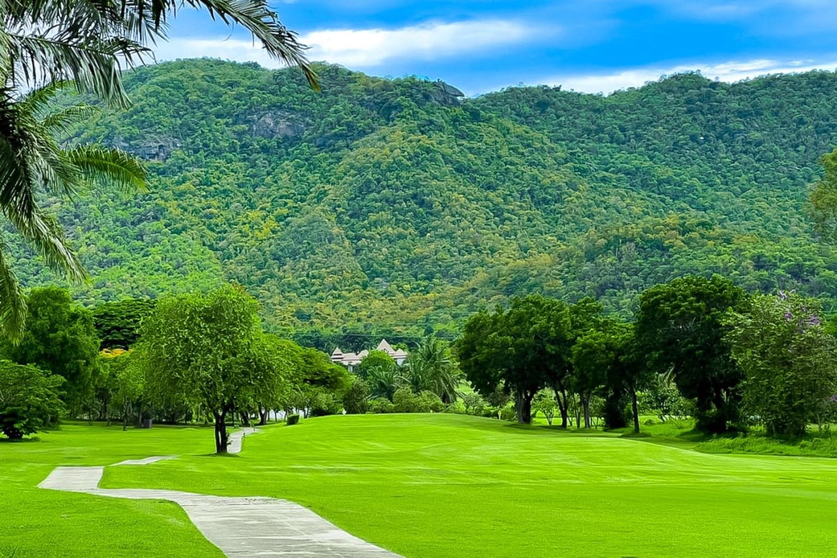 Palm Hills Golf Club cover image