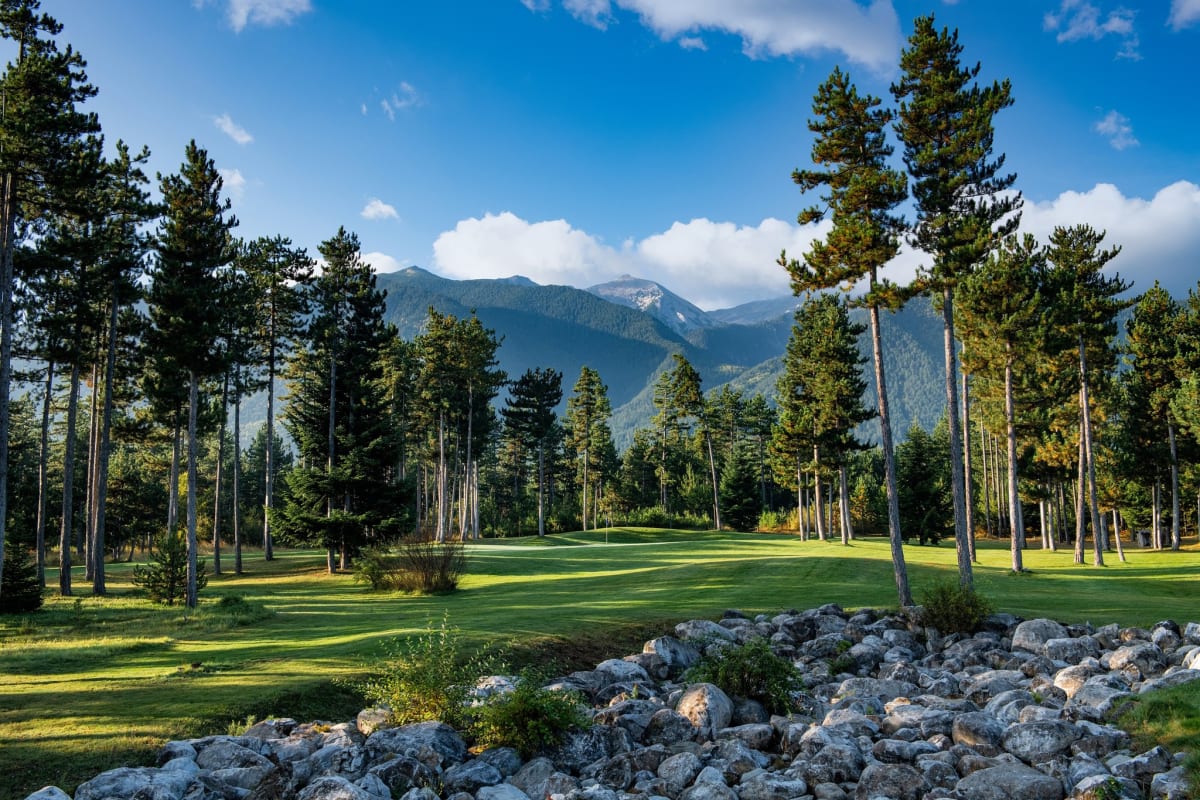 Pirin Golf And Country Club - Ian Woosnam + Pine cover image