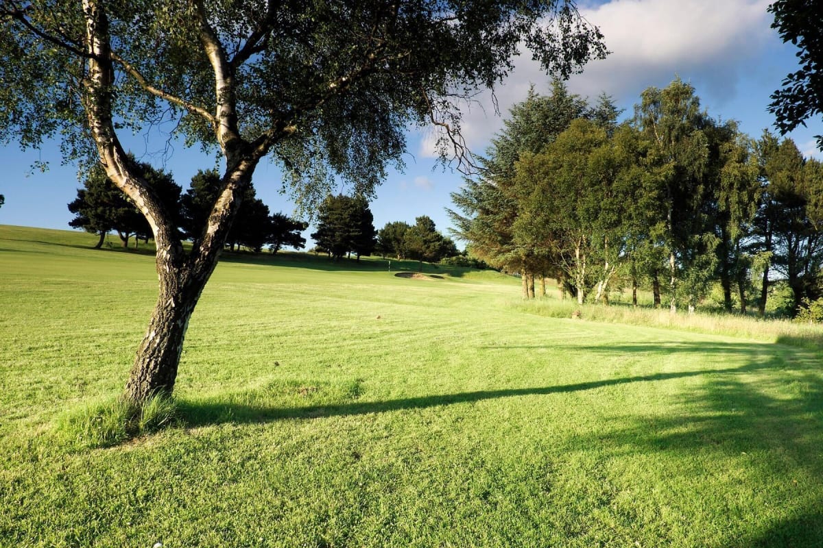 Pitreavie (Dunfermline) Golf Club cover image