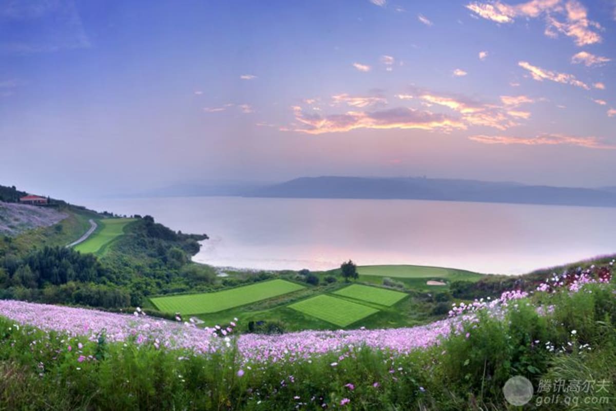 Qianglin Golf  (former Kumming Wanda） cover image
