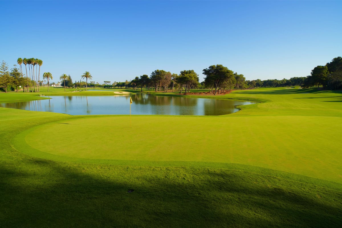 Real Club de Golf Sotogrande cover image