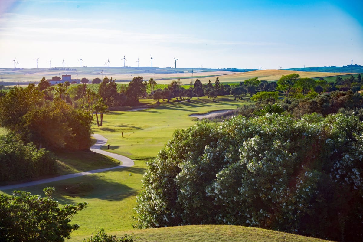 Sherry Golf cover image