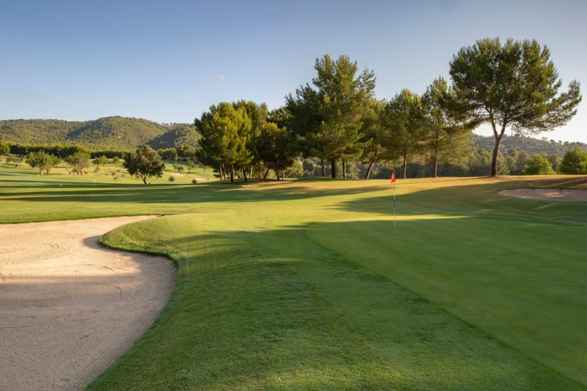 Son Quint Golf cover image