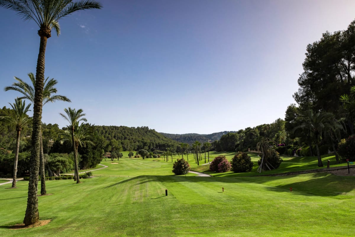 Son Vida Golf cover image
